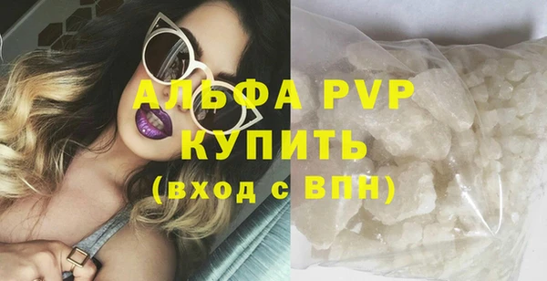 ПСИЛОЦИБИНОВЫЕ ГРИБЫ Липки