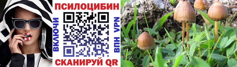 Псилоцибиновые грибы ЛСД  закладка  ОМГ ОМГ ONION  Камень-на-Оби 